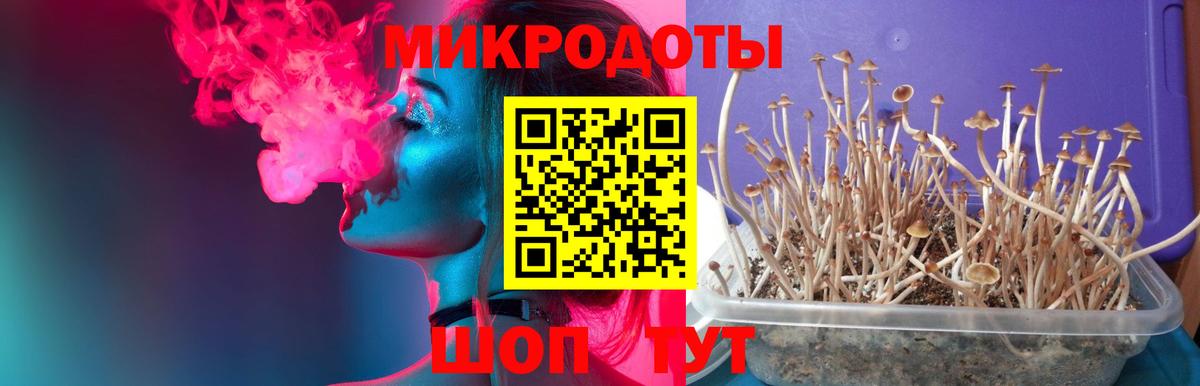 Галлюциногенные грибы мухоморы Учалы